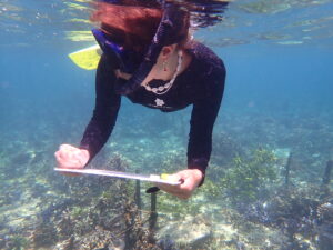 Restauration corail Nusa Penida