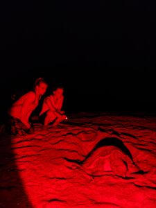 Vous effectuerez des patrouille la nuit
