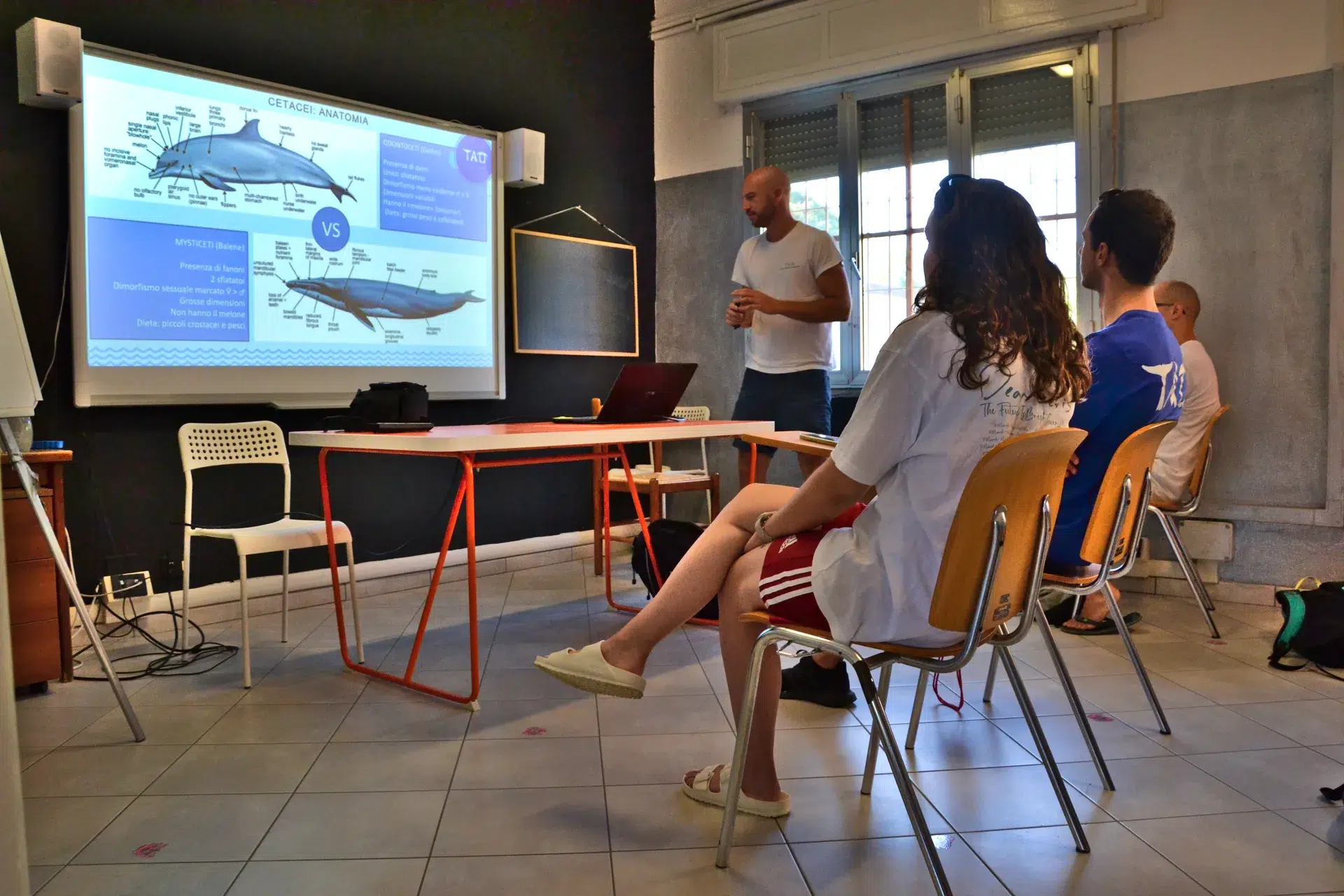 ecovolontariat italie faune Marine