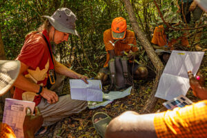 ecovolontaires massif du Makay