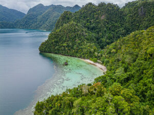 Expédition à Sulawesi