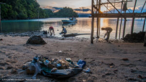 Écovolontariat Sulawesi