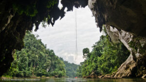 Voyage scientifique à Sulawesi