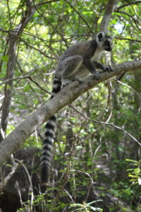 Madagascar