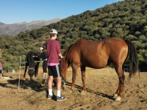 volontaire cheval espagne