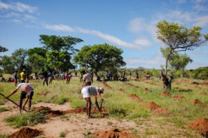 Reboisement Madagascar