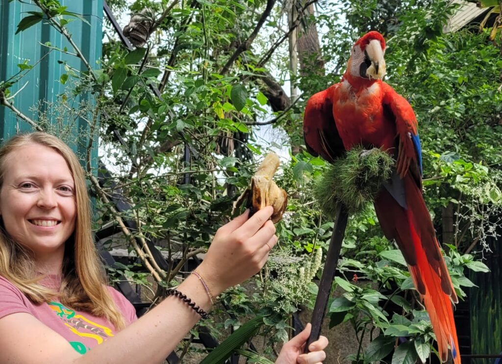 Volontaire Costa Rica Refuge