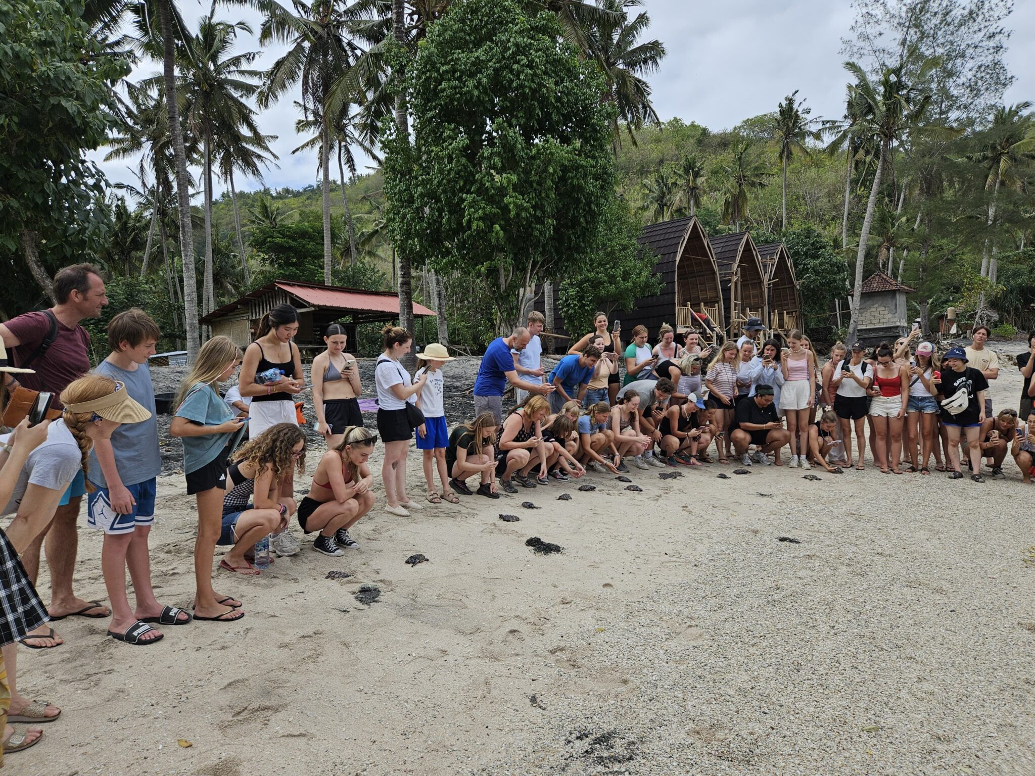 Summer camp bali tortues