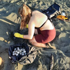 Voyage pour tortue adolescents