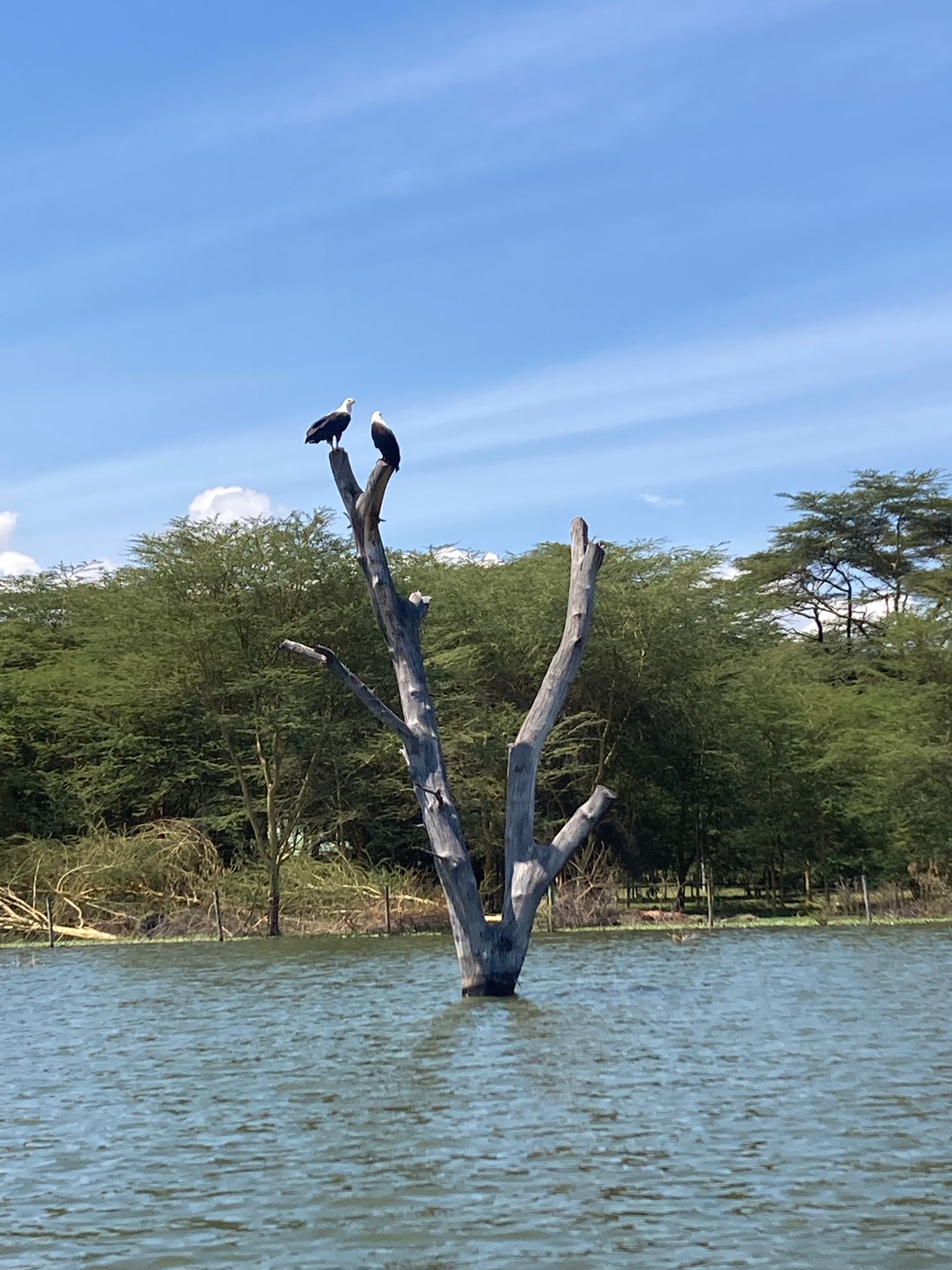 Summer Camp Kenya