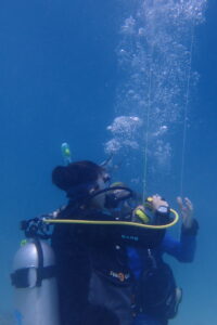 Plongée philippines