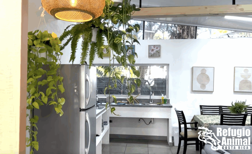 logement volontaire costa rica