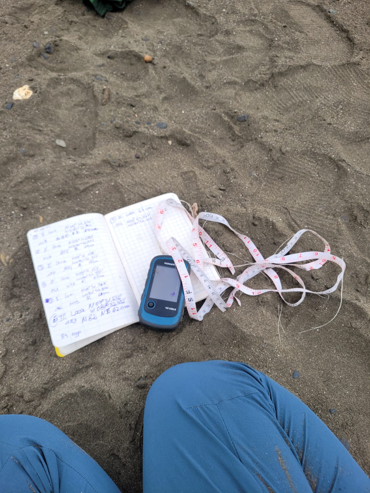 Taking data turtles