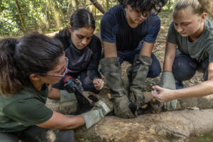 volontaire en Amazonie
