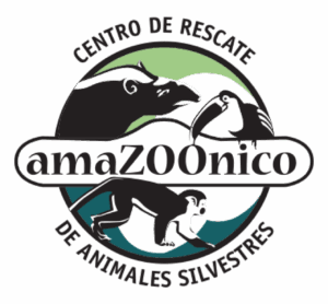 Logo Amazoonico