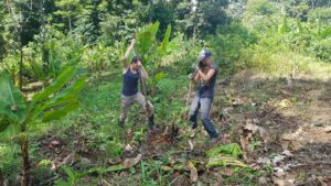 Volontariat Agroécologie