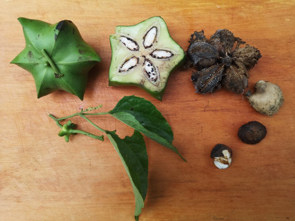 Agroécologie Equateur