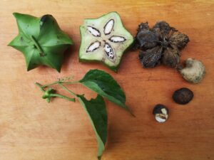 Agroécologie Equateur