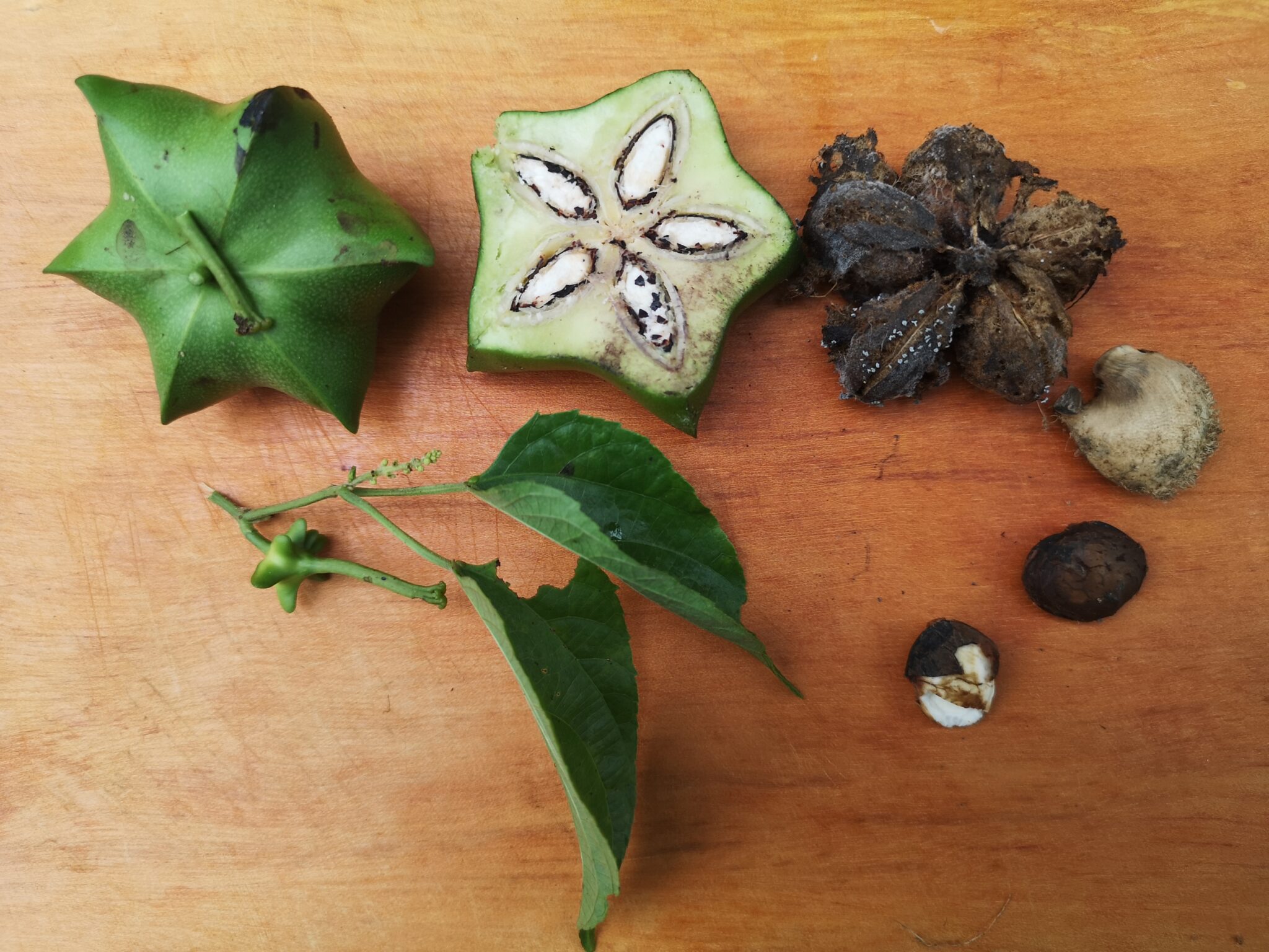 Agroécologie Equateur