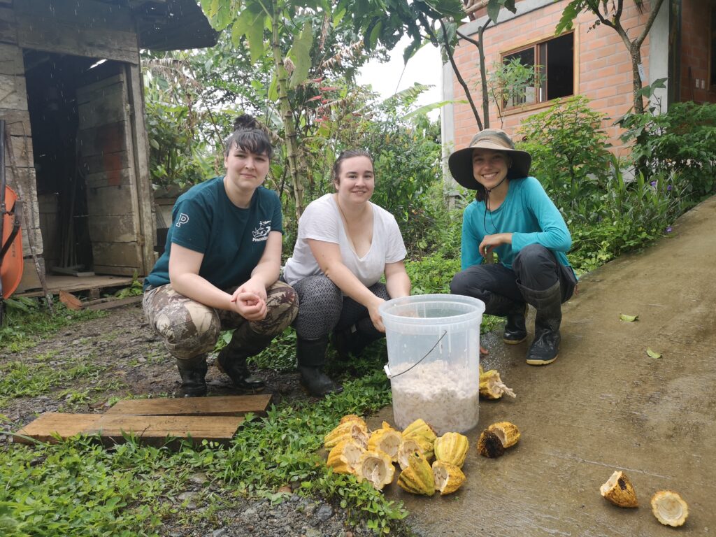 écovolontariat Amazonie