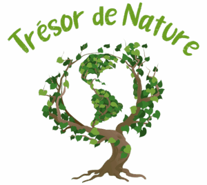 Logo-tresor-nature