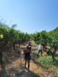 rénébération île Grèce