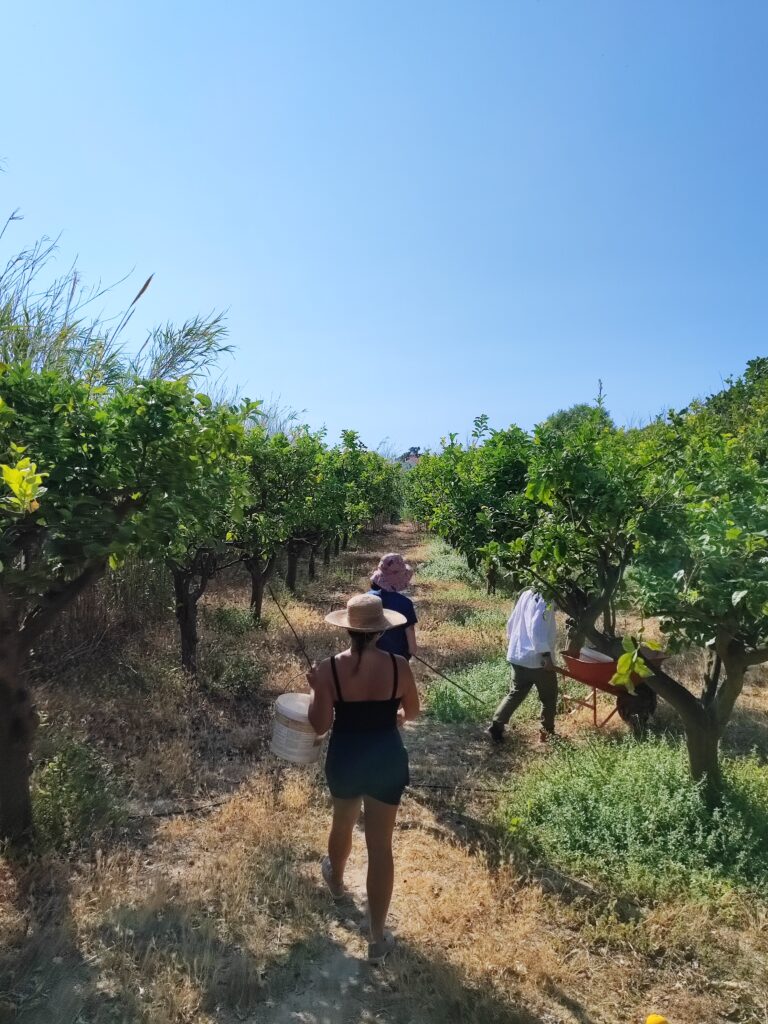 rénébération île Grèce