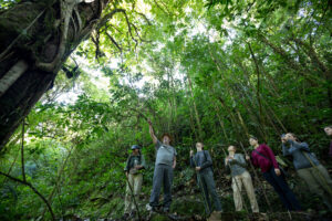 Volontaire Costa Rica Forêt