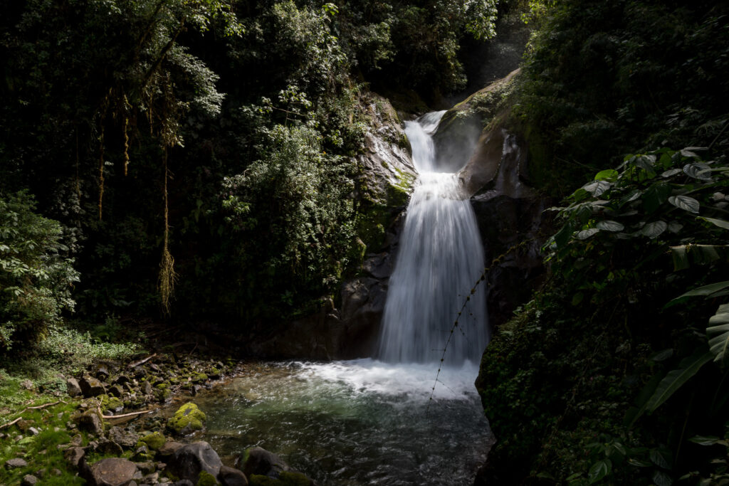 Volontaire Costa Rica