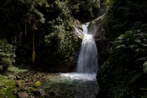 Volontaire Costa Rica