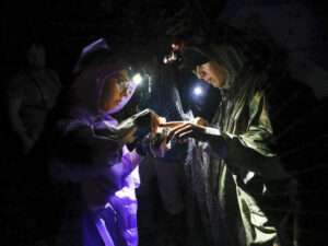 Exploration de nuit au Costa Rica
