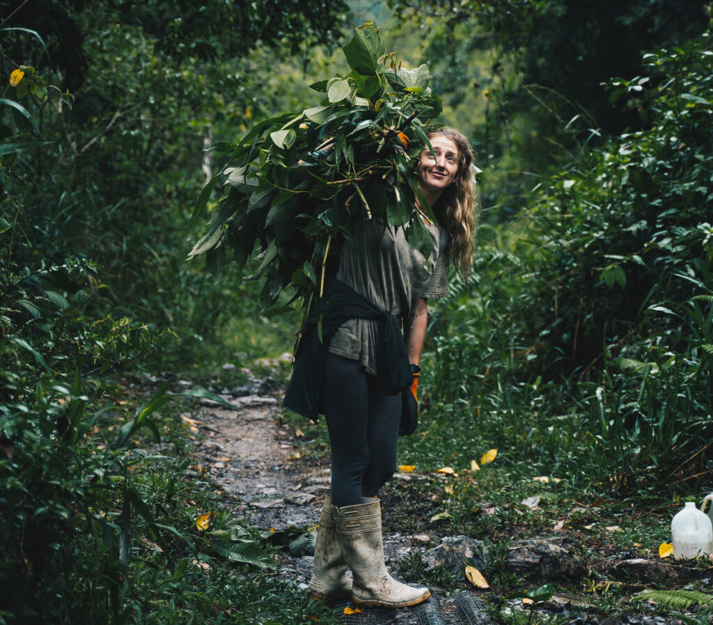volontaire au coeur de la forêt tropicale