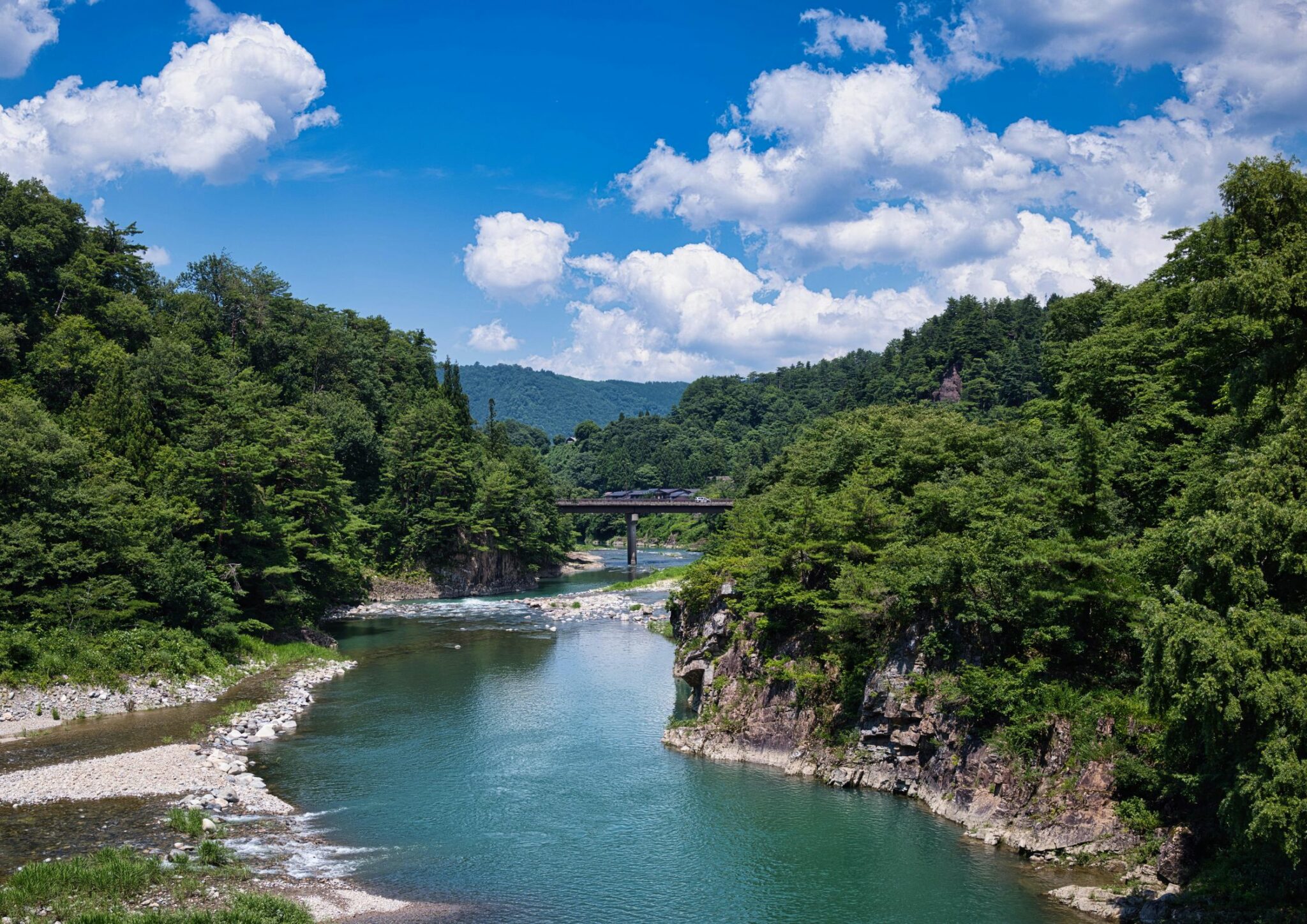 colonie recherche participative | Eco-volontaire colonie recherche participative