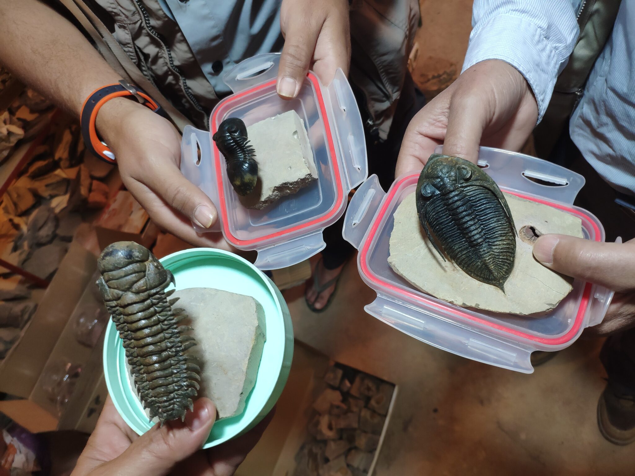 Fouilles paléo Maroc | Eco-volontaire Fouilles paléo Maroc