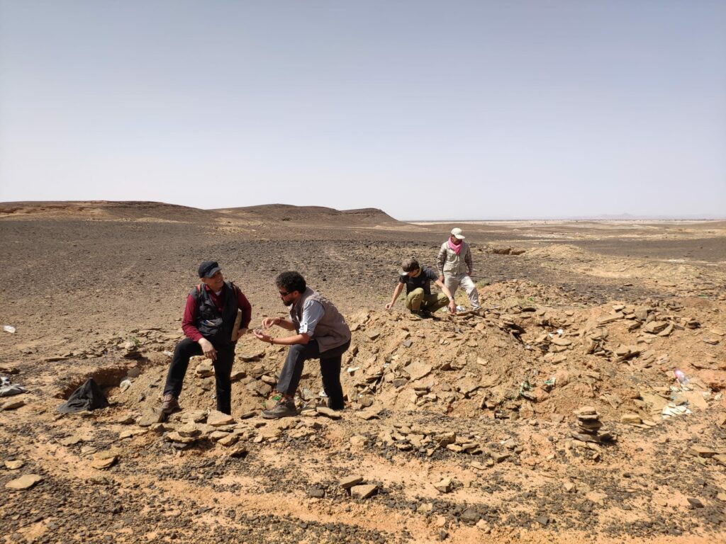 Voyage scientifique famille Maroc | Eco-volontaire Voyage scientifique famille Maroc