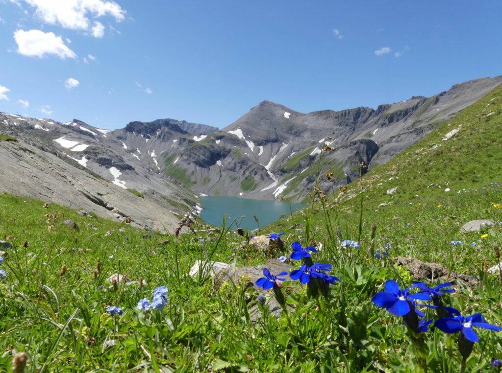 Séjour paléontologie enfant et ado