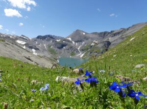 Séjour paléontologie enfant et ado