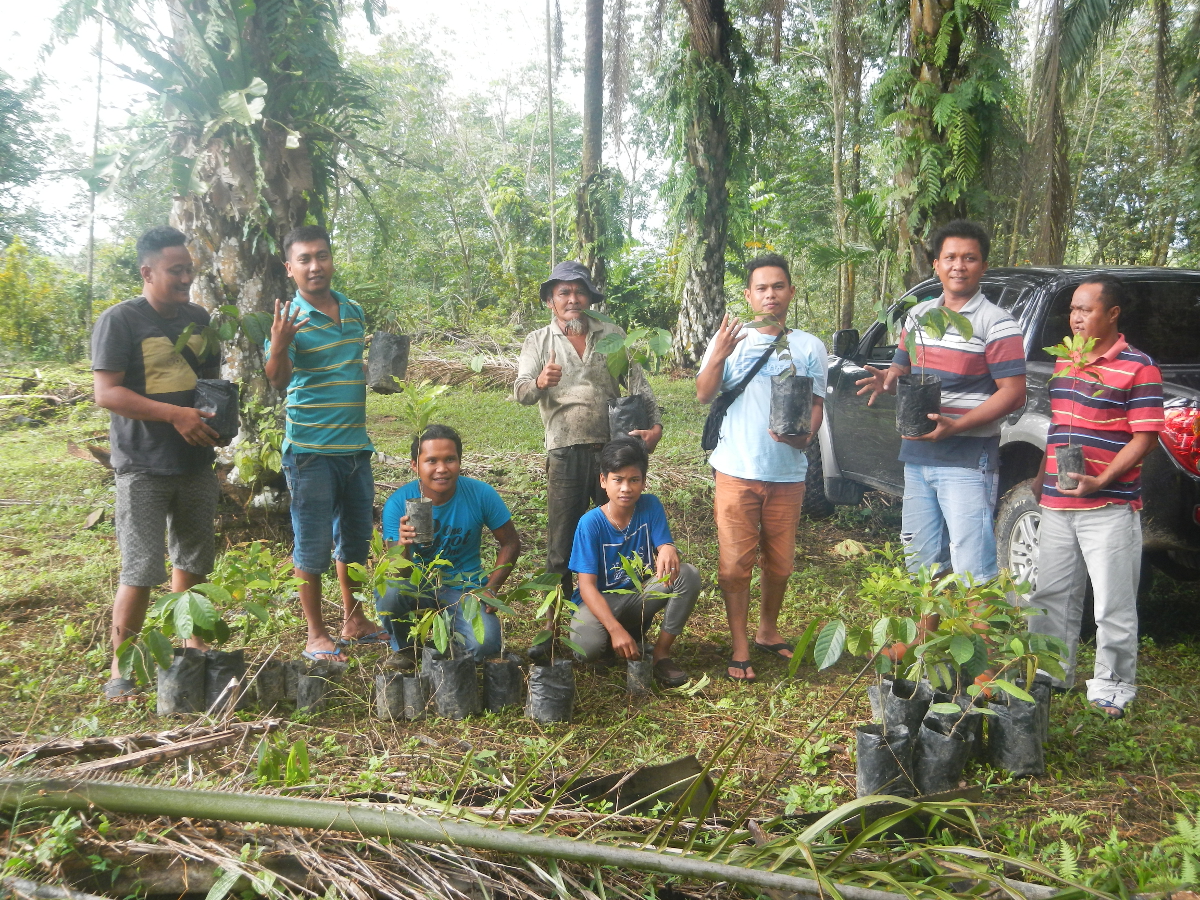 écovolontariat Sumatra