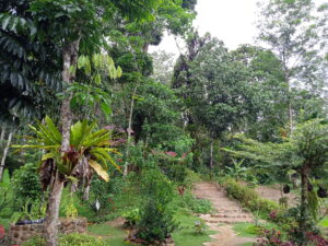 écovolontaire Indonésie